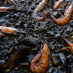 Arroz negro