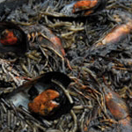 Fideuà negra